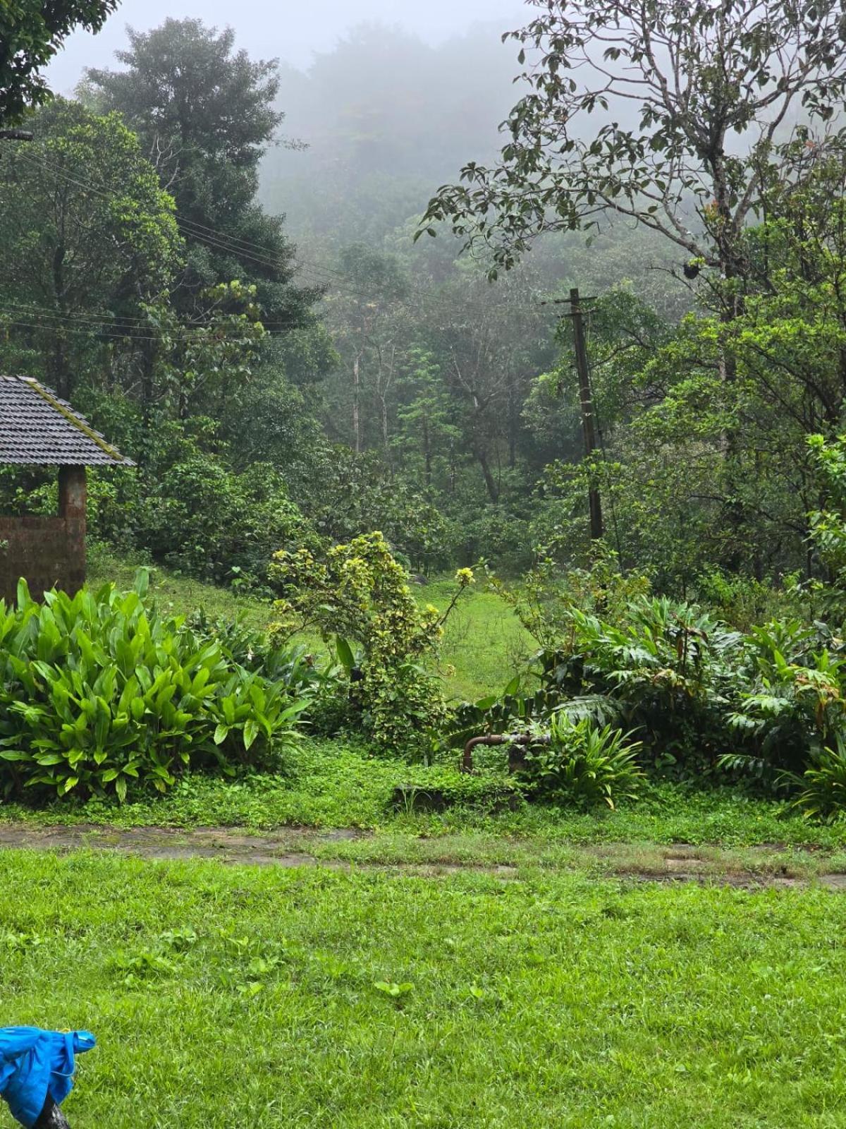 Highland Estate Hotel Sakleshpur Eksteriør billede